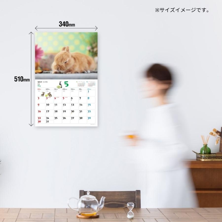 JTBパブリッシング JTBのカレンダー ふわふわうさぎ 2027(壁掛け/月めくり/動物) Book |  | 03