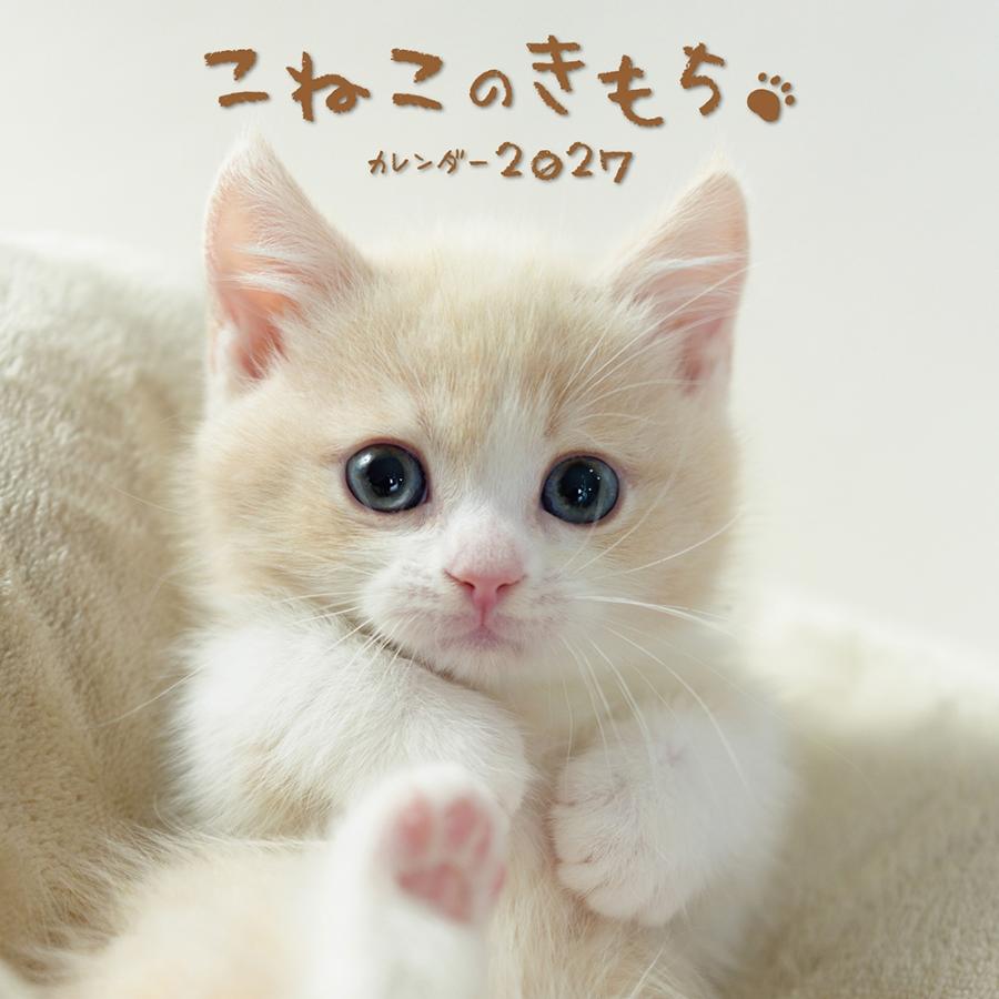 こねこのきもちカレンダー2027 Book | 