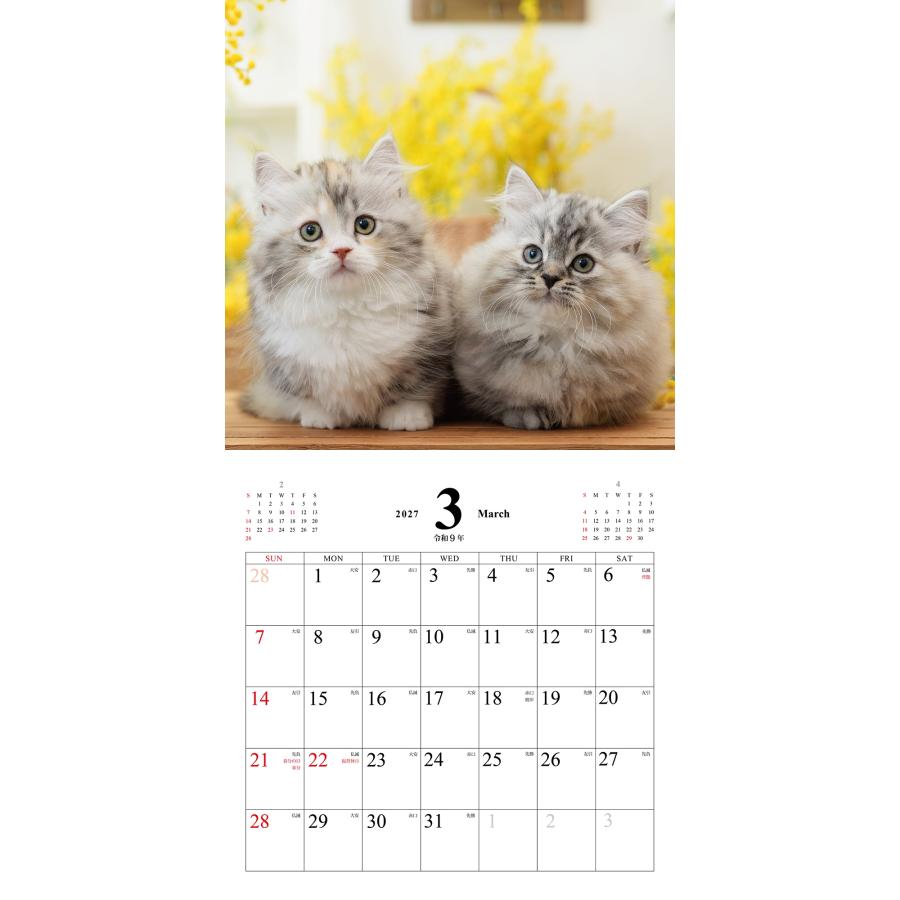 こねこのきもちカレンダー2027 Book |  | 01