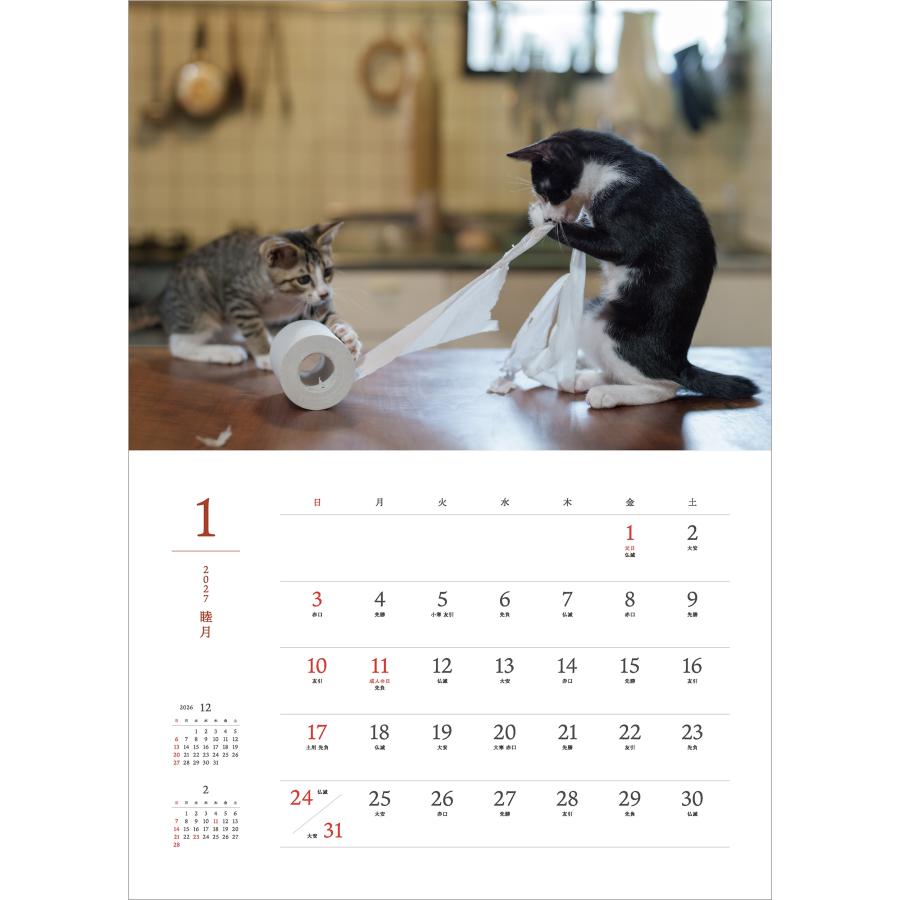 大島淳之 2027 猫猫是好日 Book |  | 01