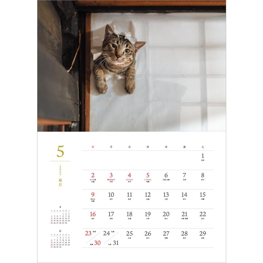 大島淳之 2027 猫猫是好日 Book |  | 02