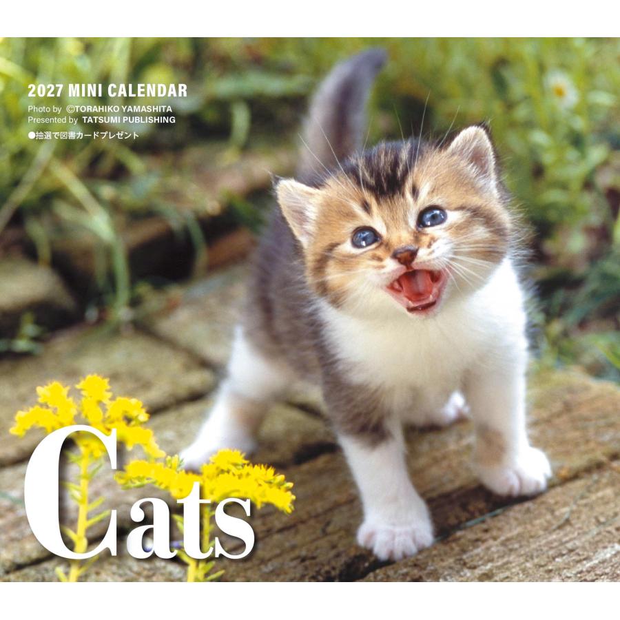 山下寅彦 2027 ミニカレンダー キャッツ Book | 