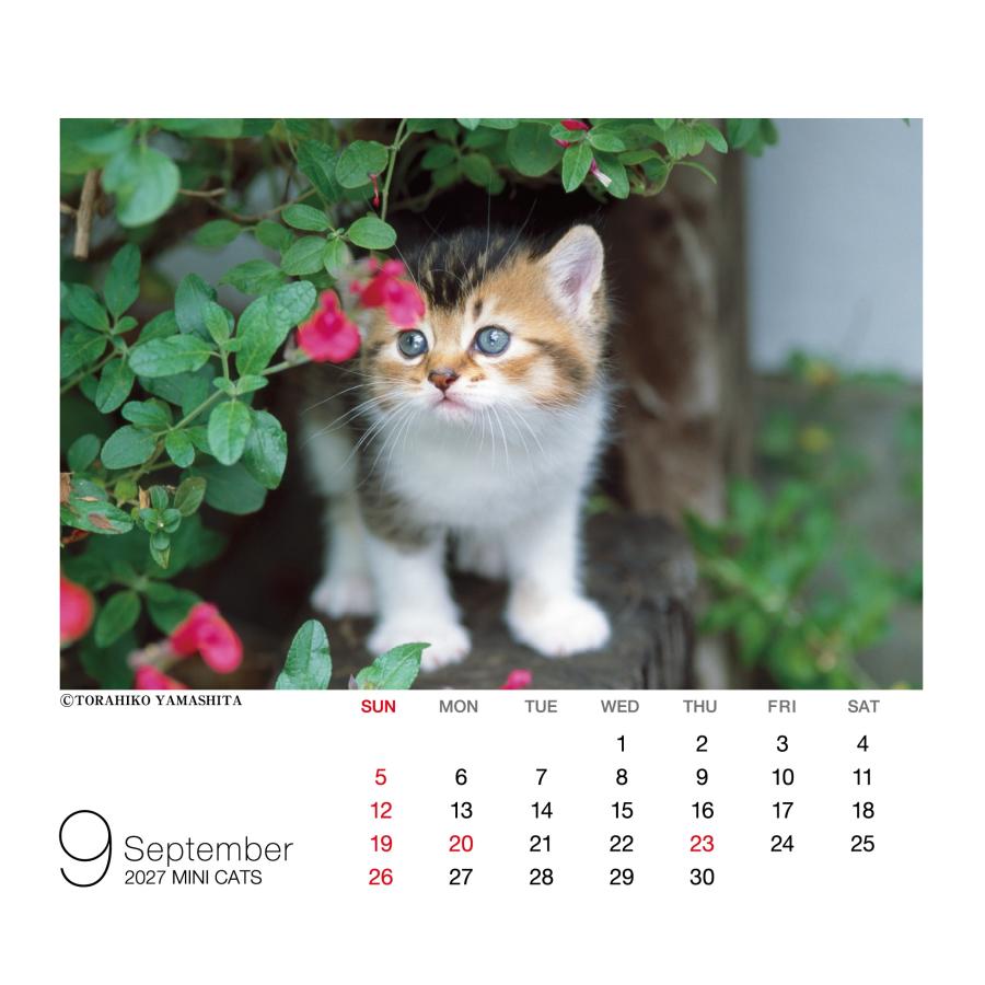 山下寅彦 2027 ミニカレンダー キャッツ Book |  | 02