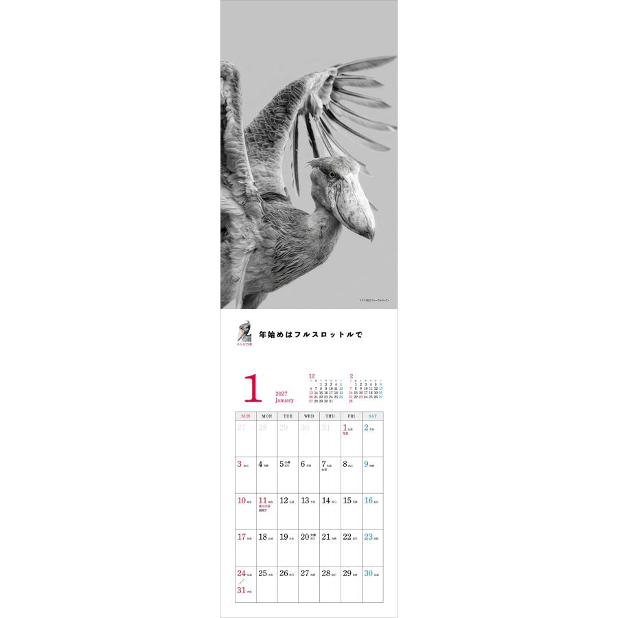 南幅俊輔Presents 2027 ハシビロコウカレンダー Book |  | 01