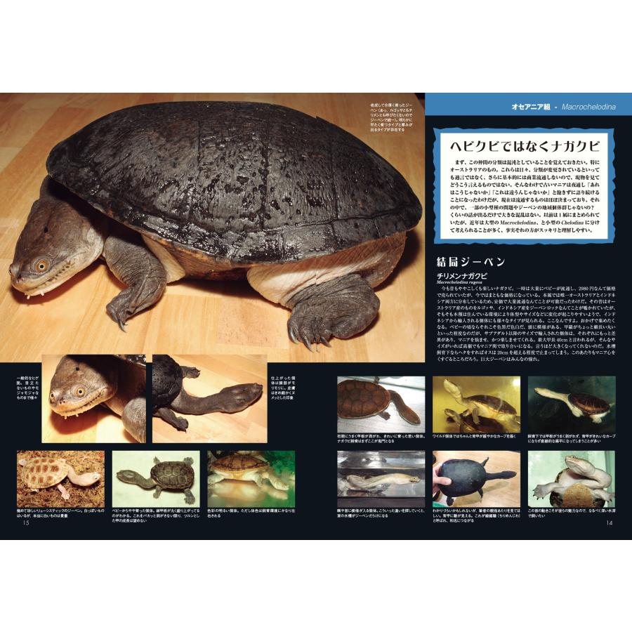 ビバリウムガイド 2026年 09月号 [雑誌] Magazine |  | 02