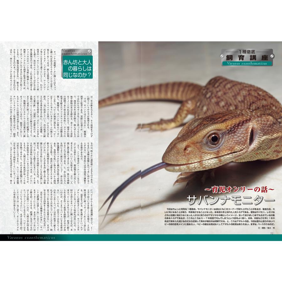 ビバリウムガイド 2026年 09月号 [雑誌] Magazine |  | 03