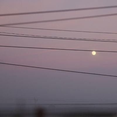 Michael Scott Dawson Long Slow Distance LP | 