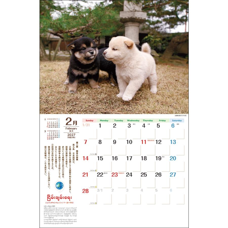 岩合光昭 みんななかよし憲法9条カレンダー 2027 Book |  | 01