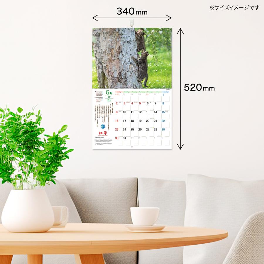 岩合光昭 みんななかよし憲法9条カレンダー 2027 Book |  | 04