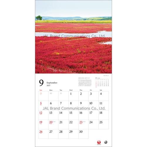 JAL「A WORLD OF BEAUTY」(普通判) カレンダー 2027 Calendar |  | 09
