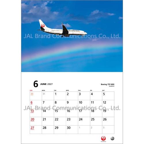 JAL「FLEET」(普通判) カレンダー 2027 Calendar : タワーレコード