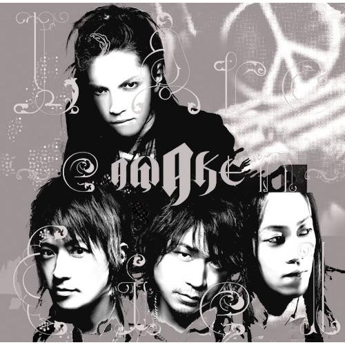 L'Arc-en-Ciel AWAKE＜完全生産限定盤/黒盤＞ LP | 