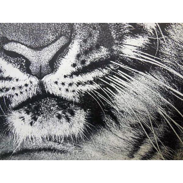 送料無料 ◇ 絵画 版画 ドイツ写真芸術家 Heinz Landolt 亜鉛製版 動物