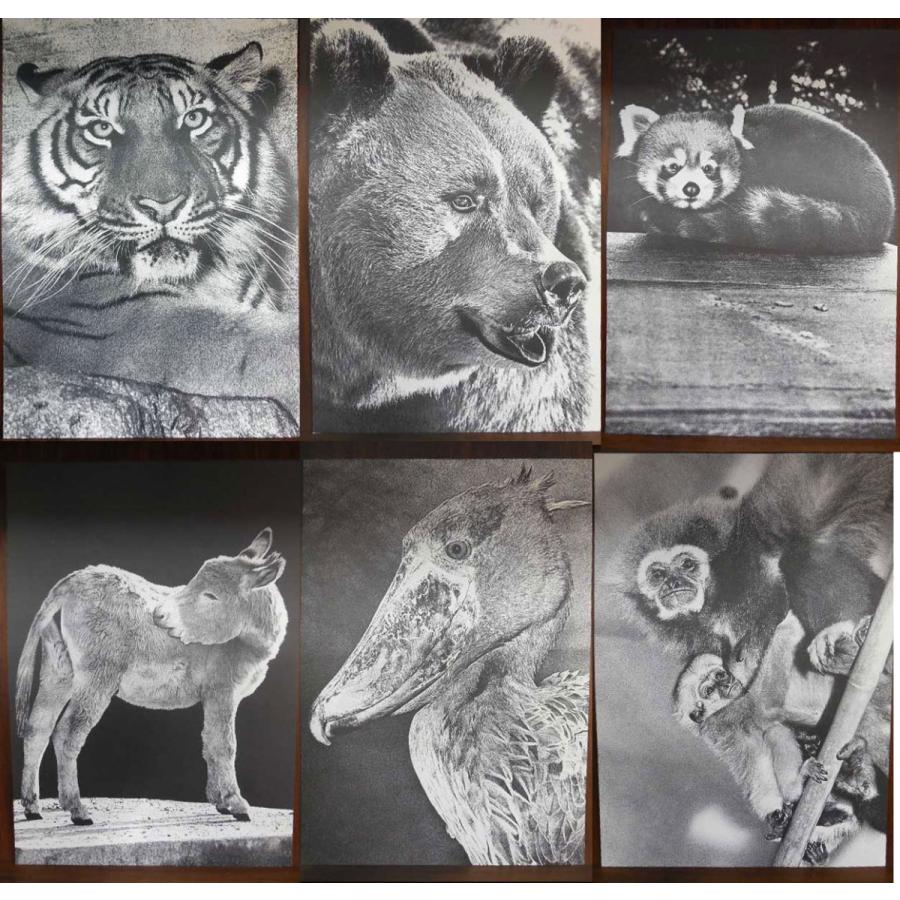 送料無料 ◇ 絵画 版画 ドイツ写真芸術家 Heinz Landolt 亜鉛製版 動物