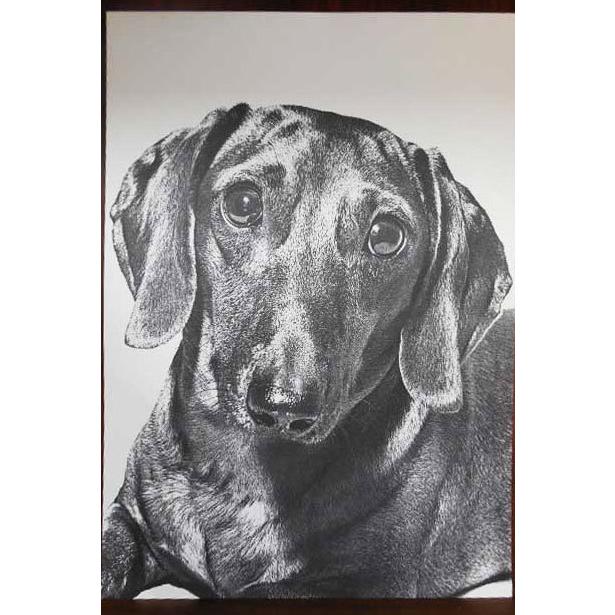 送料無料 ◇ 絵画 版画 ドイツ写真芸術家 Heinz Landolt 亜鉛製版 動物