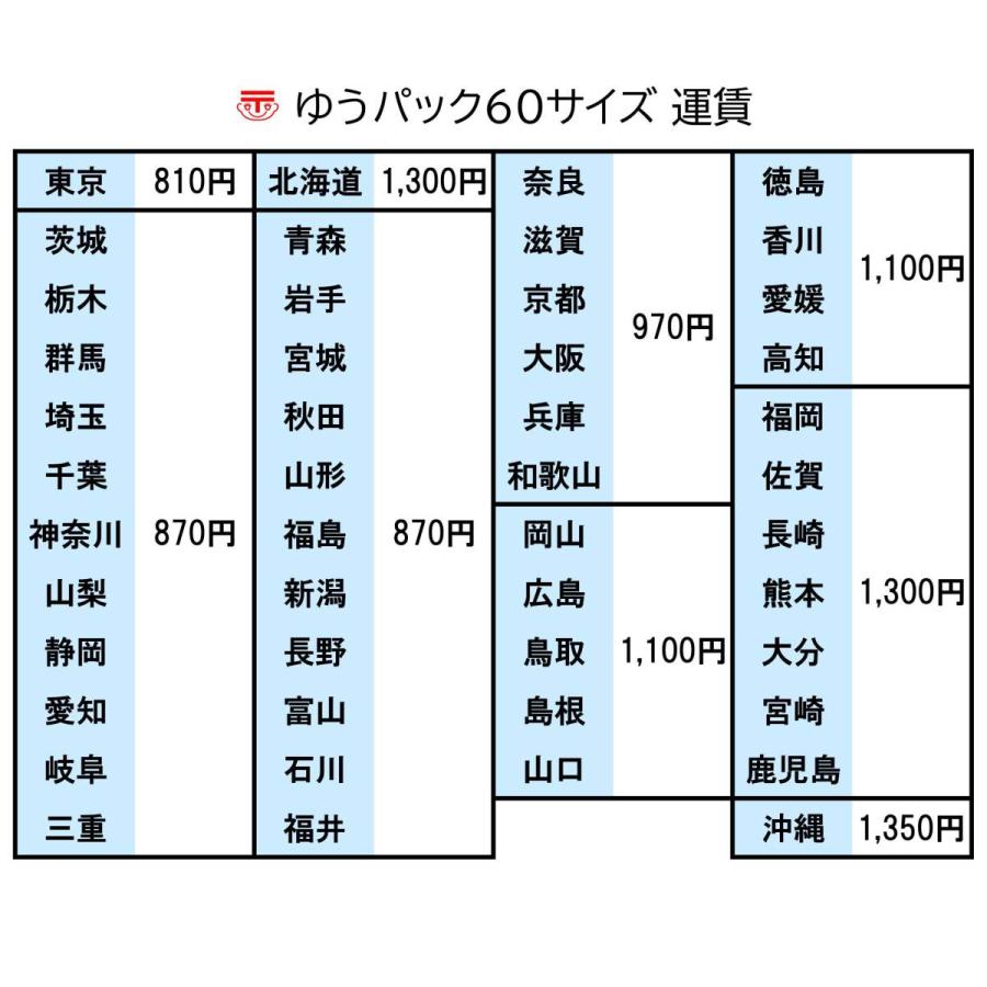 ELMO 小型 防犯カメラ□QBIC CLOUD CC-2/クラウド録画□WiFi/屋内用