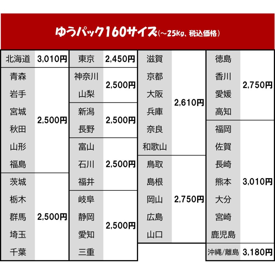 オランダ ビンテージ 木箱 2箱 ◇ 幅565×奥行365×高さ305mm ポテト