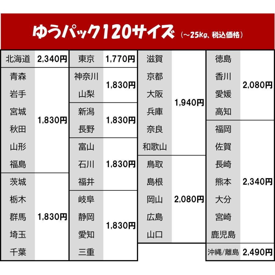 大工道具 のこぎり 木挽き鋸 2本セット ◇ 木挽き 鋸 古道具 昭和