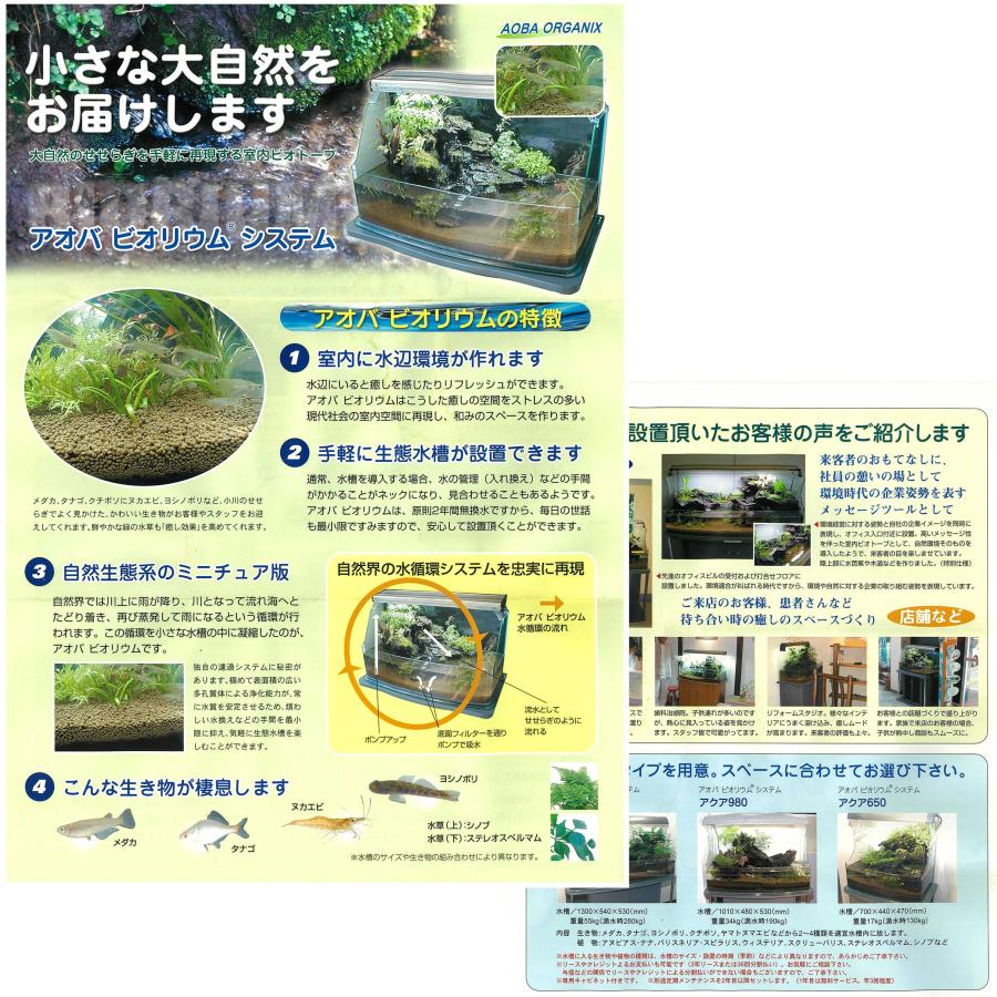 現状 ◇ アオバ 室内 ビオトープ用 水槽 90cm 幅900×奥行500×高さ 