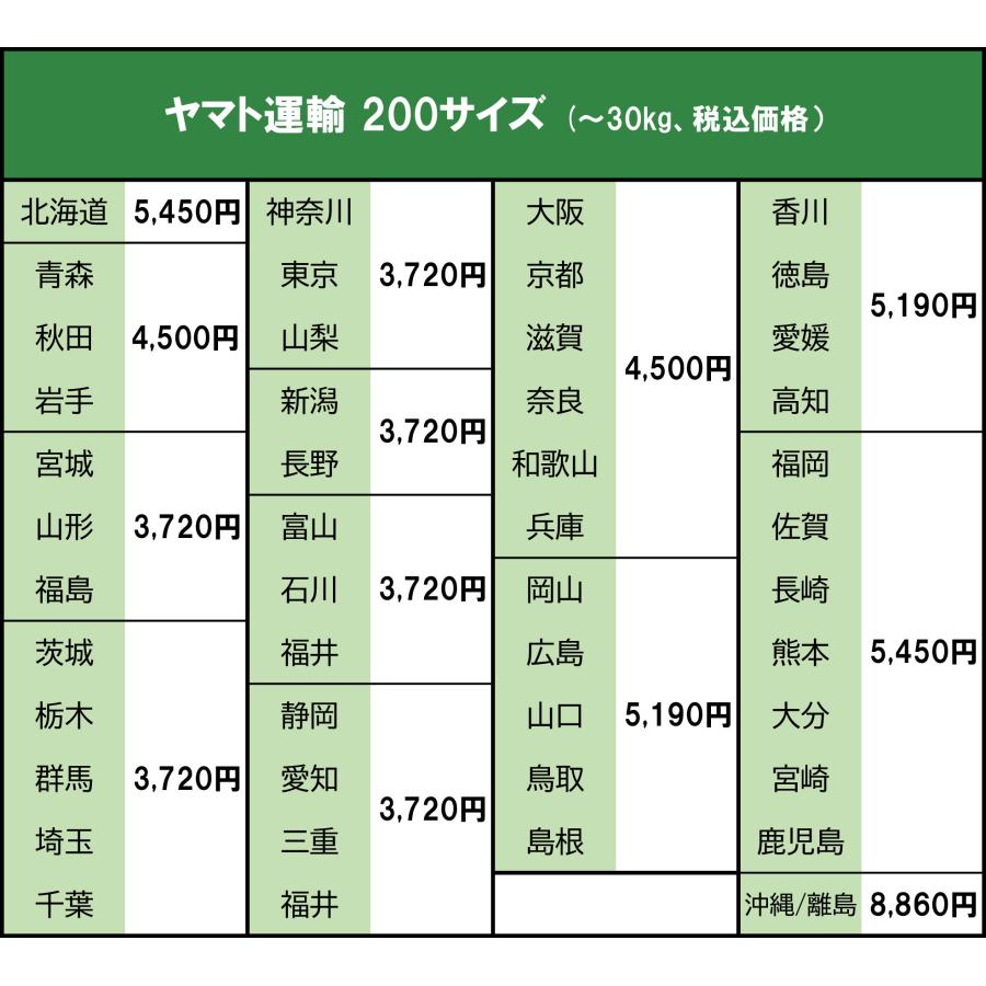 未使用 未開封 ◇ MOREY Boogie BODYBOARD Pro/Am モーレーブギー