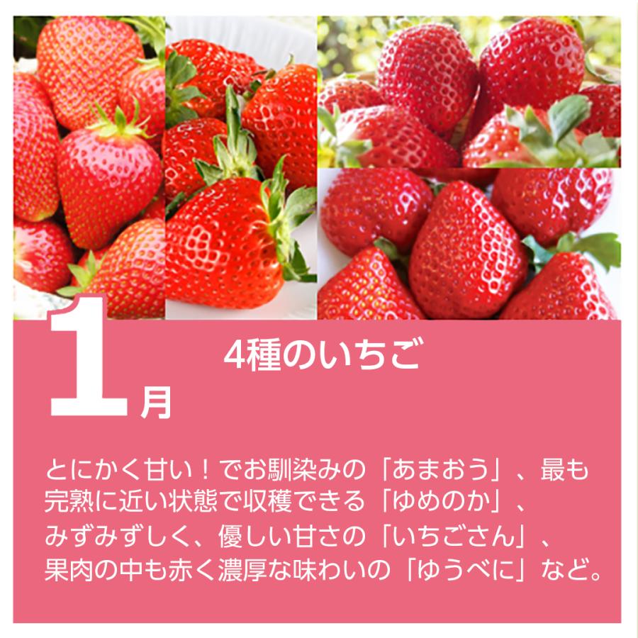 フルーツ 詰め合わせ 高級 ギフト 贈り物 プレゼント お中元 果物 旬 季節 定期便 1回 格安 りんご さくらんぼ ぶどう シャインマスカット 桃 001 Town Life Yahoo 店 通販 Yahoo ショッピング