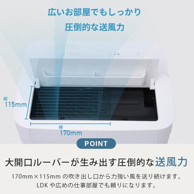 TOYOTOMI（トヨトミ） スポットクーラー 冷風機 TAD-30R ** : タウン