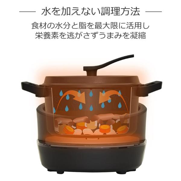 エムケー精工 MK 水無しIH電気鍋 無水鍋はガス火OK 20cm 無水調理 2L