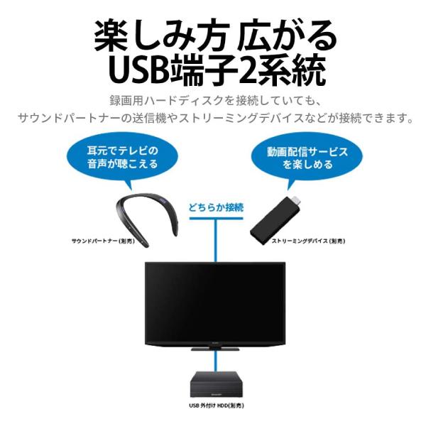 2T-C19DE-B 液晶テレビ 19インチ シャープ アクオス AQUOS 本体 地デジ