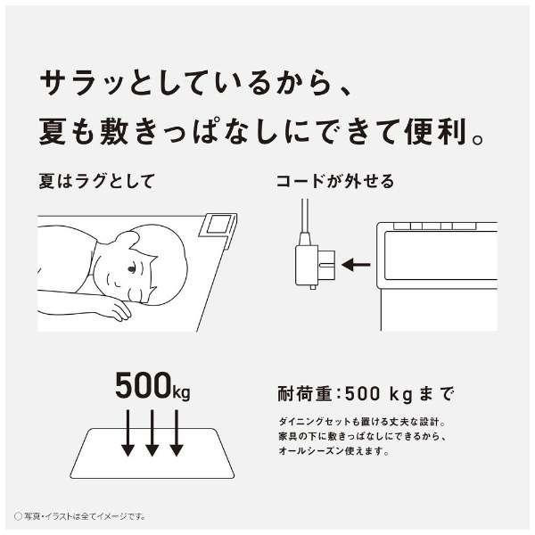 Panasonic DC-1V5 かんたん床暖 フローリング調ホットカーペット Panasonic DC-1V5 かんたん床暖 フローリング調ホットカーペット