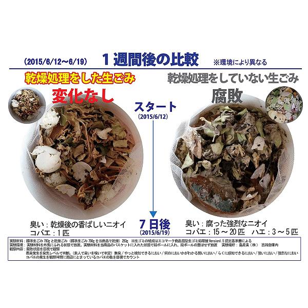 PPC-11(BK) 島産業 家庭用生ごみ減量乾燥機 PARIS PARIS CUE パリパリ