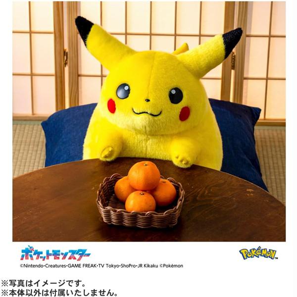 ポケットモンスター ポケモン30周年記念 おかえり！ピカチュウ1/1