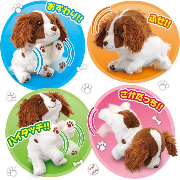 アガツマ ハイタッチ！さかだっち！Showtime（ショウタイム