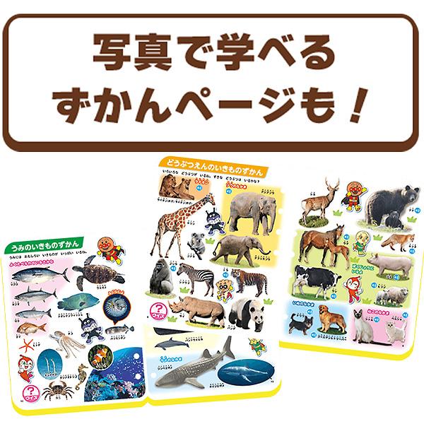 アンパンマン にほんご えいご きもちのことば！アンパンマンことばず