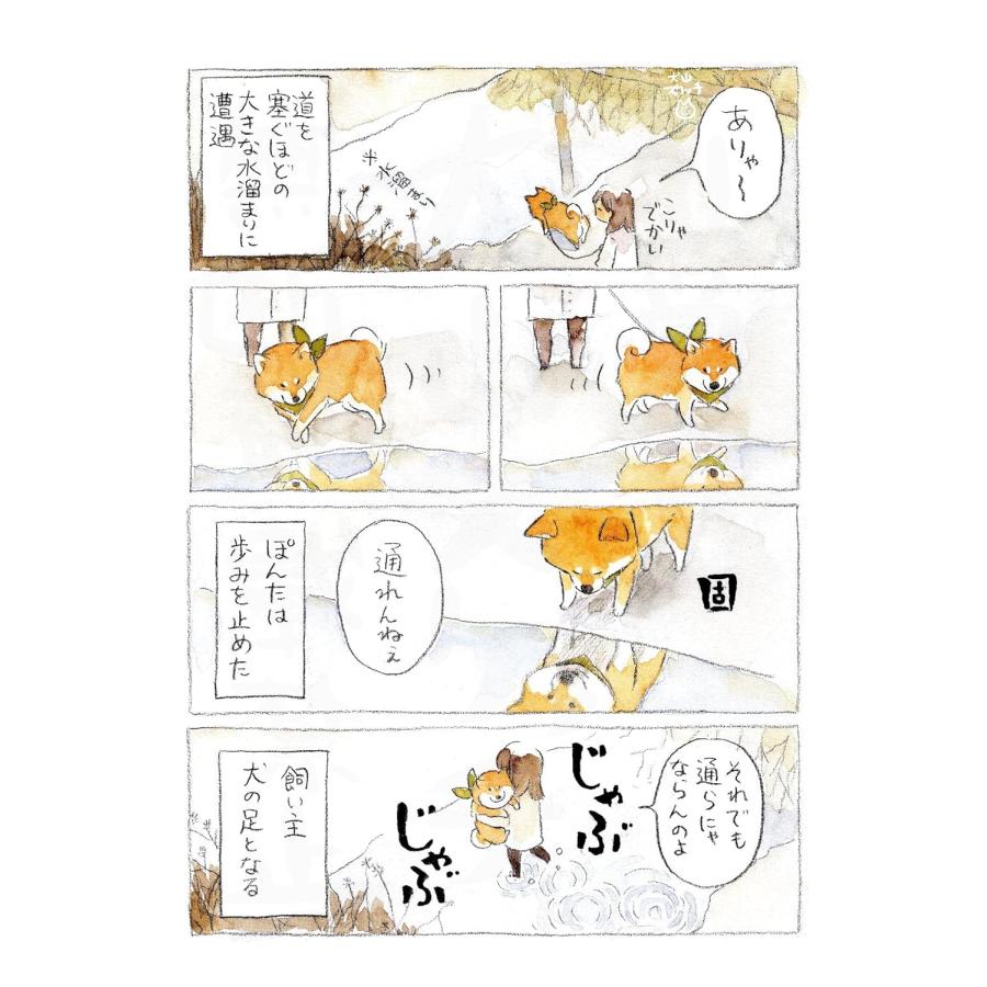 柴犬ぽんちゃん、今日もわが道を行く2 KADOKAWA : TOY Publishing