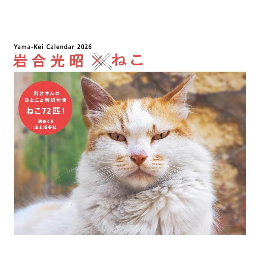 カレンダー2026 岩合光昭×ねこ 山と渓谷社 : TOY Publishing - 通販