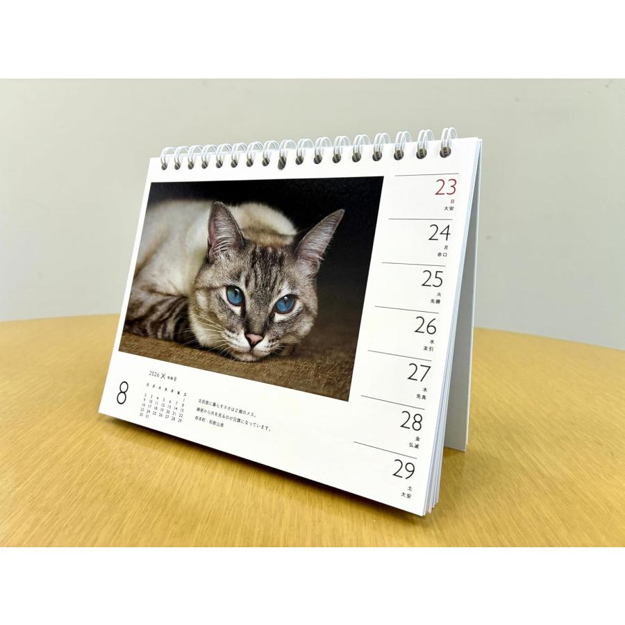 カレンダー2026 岩合光昭×ねこ 山と渓谷社 : TOY Publishing - 通販