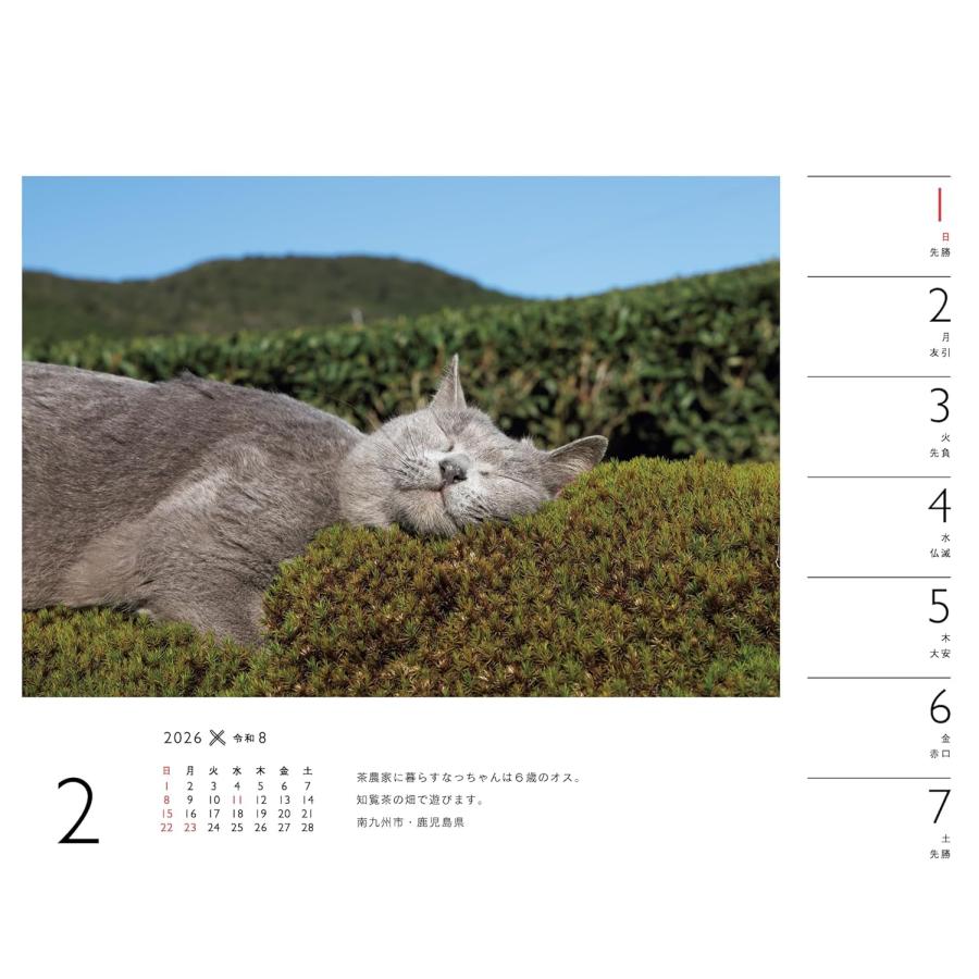 日経ナショナルジオグラフィック社 2004年 カレンダー 岩合光昭 親子の