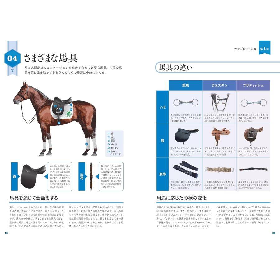 サラブレッド大辞典 カンゼン : TOY Publishing - 通販 - Yahoo