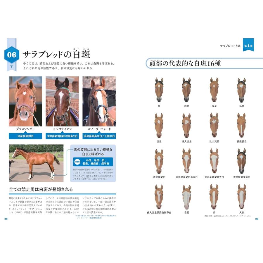 サラブレッド大辞典 カンゼン : TOY Publishing - 通販 - Yahoo