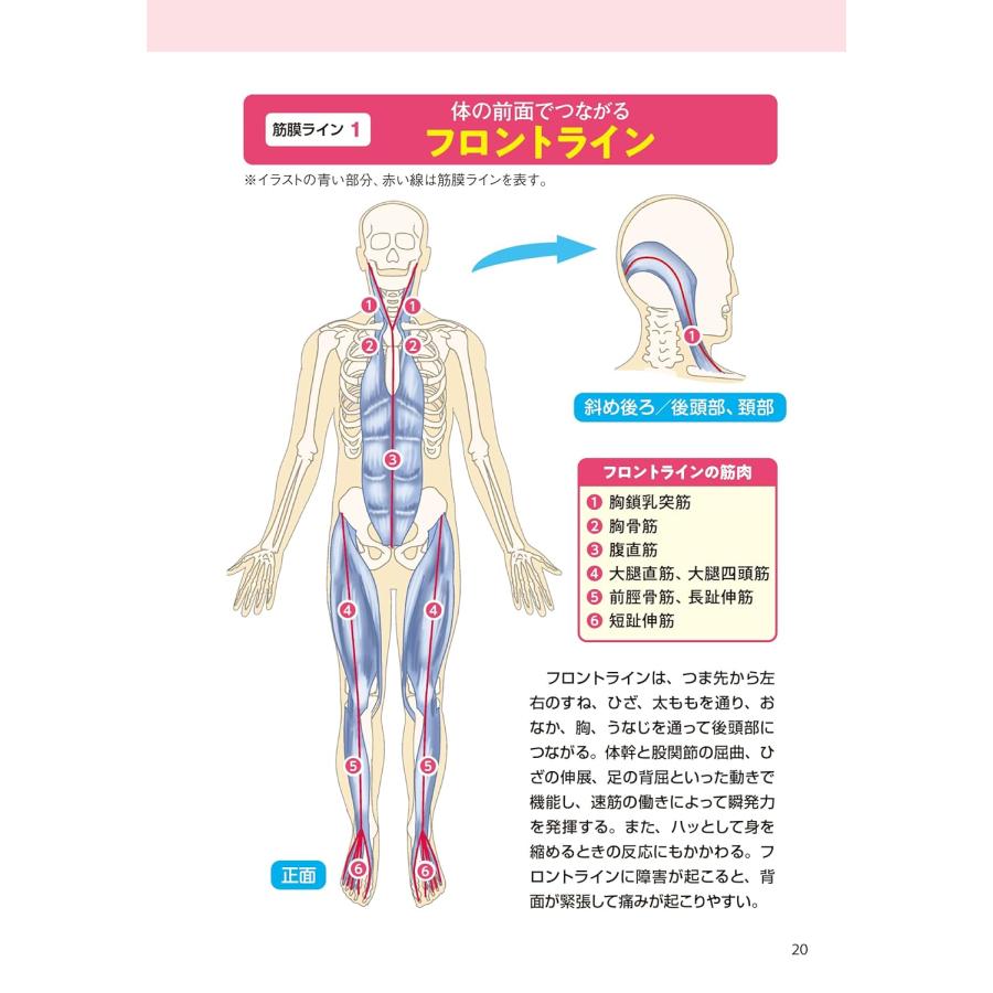 どんなに硬い体も柔らかくなる 名医が教えるすごいストレッチ 文響社