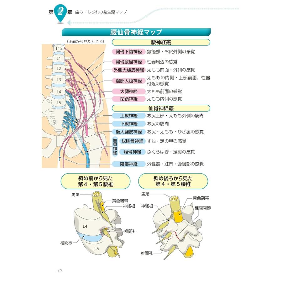 大学病院「背骨外来」の名医が教える 脊柱管狭窄症 自力で克服！ 一生