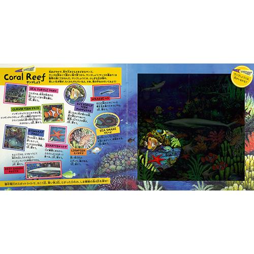 付属のライトで生き物を探すスポットライトシリーズ OCEAN HUNT 海の