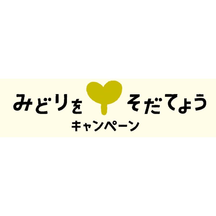 韓国発!楽しみながらSDGs・消費社会について考える絵本『ダンボール』 TOY Publishing |  | 06