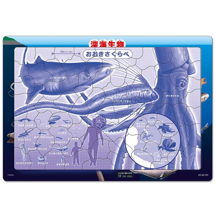 テンヨー ジグソーパズル 深海生物図鑑(学研の図鑑LIVE) 80 テンヨー ジグソーパズル 深海生物図鑑(学研の図鑑LIVE) 80