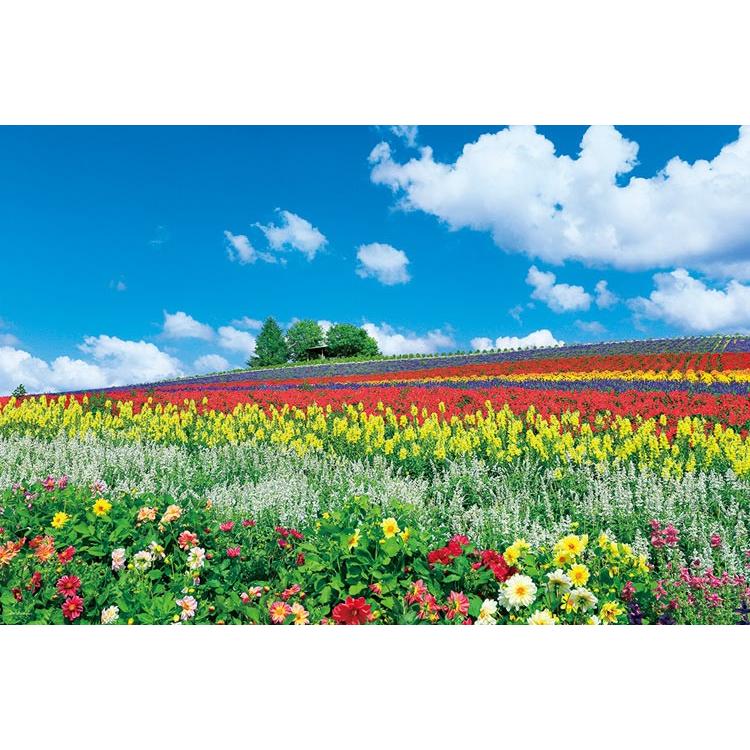 ジグソーパズル YAM-10-1344 風景 富良野を彩る花の丘 激安通販 世界の人気ブランド 1000ピース 北海道