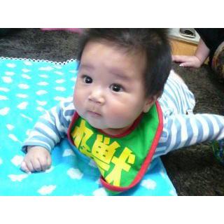 メール便OK！】【メール便なら送料無料】ファッション よだれかけ