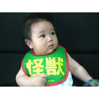 メール便OK！】【メール便なら送料無料】ファッション よだれかけ