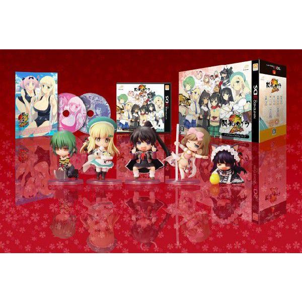 3ds 閃乱カグラ2 真紅 3ds 閃乱カグラ2 真紅 ソフト パッケージ版 にゅうにゅうdxパック Gameダッシュ にゅうにゅうdxパック 激安 販売オンライン