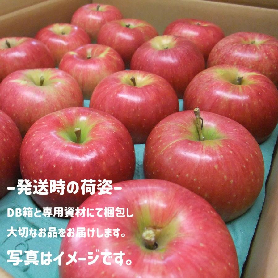 信州りんご　サンつがる  家庭用  10キロ