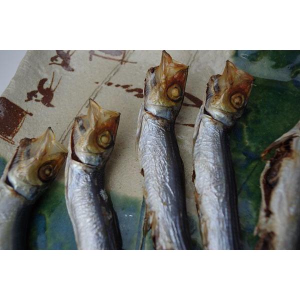 氷見高木水産 干いわし（めざし/うるめいわし一夜干し）30匹 : 富山や